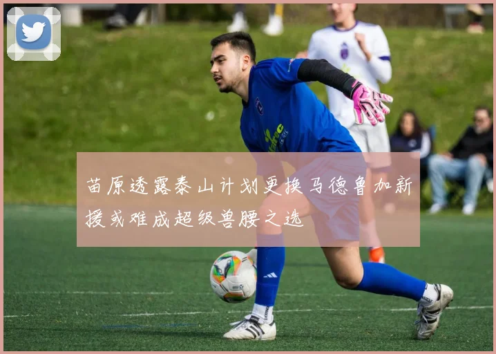苗原透露泰山计划更换马德鲁加新援或难成超级兽腰之选